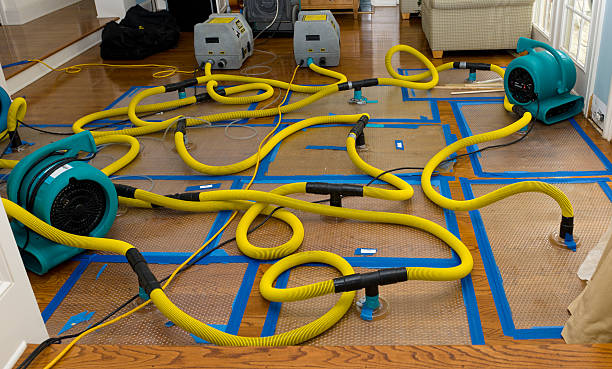 Professional Water Damage Restoration technician working in Rifle, CO